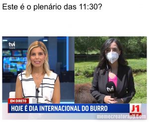 C7BFEBBD-2ED3-4C81-A1FF-FB09A83DFFC9.jpeg